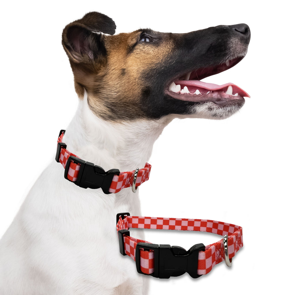 funky checkers, perri's pet products, dog collar, hippie collection, dog lifestyle