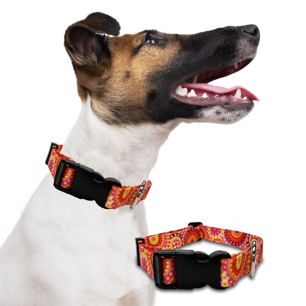 boho, perri's pet products, dog collar, hippie collection, dog lifestyle