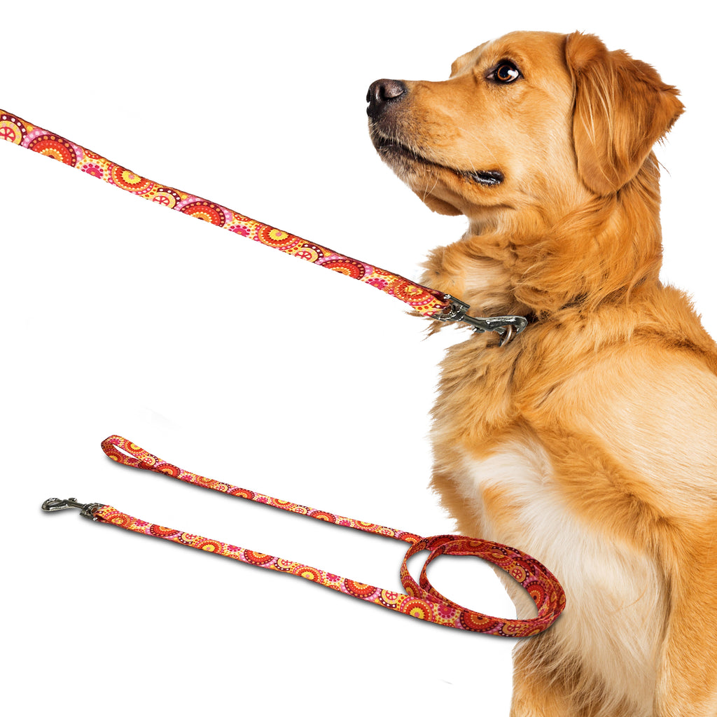 boho, perri's pet products, dog leash, hippie collection, dog lifestyle