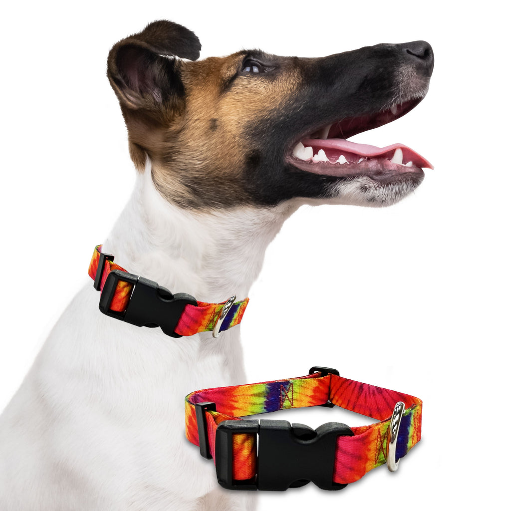 colour burst, perri's pet products, dog collar, hippie collection, dog lifestyle