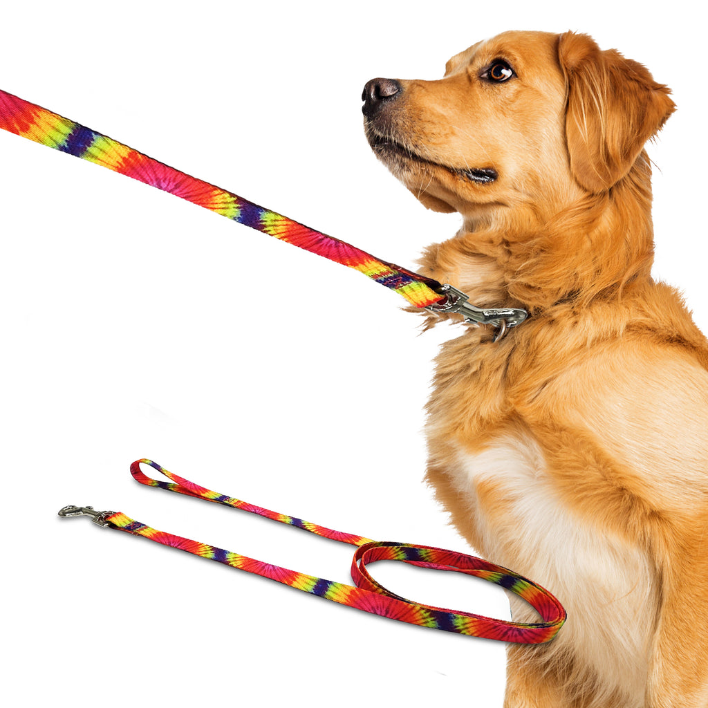 colour burst, perri's pet products, dog leash, hippie collection, dog lifestyle
