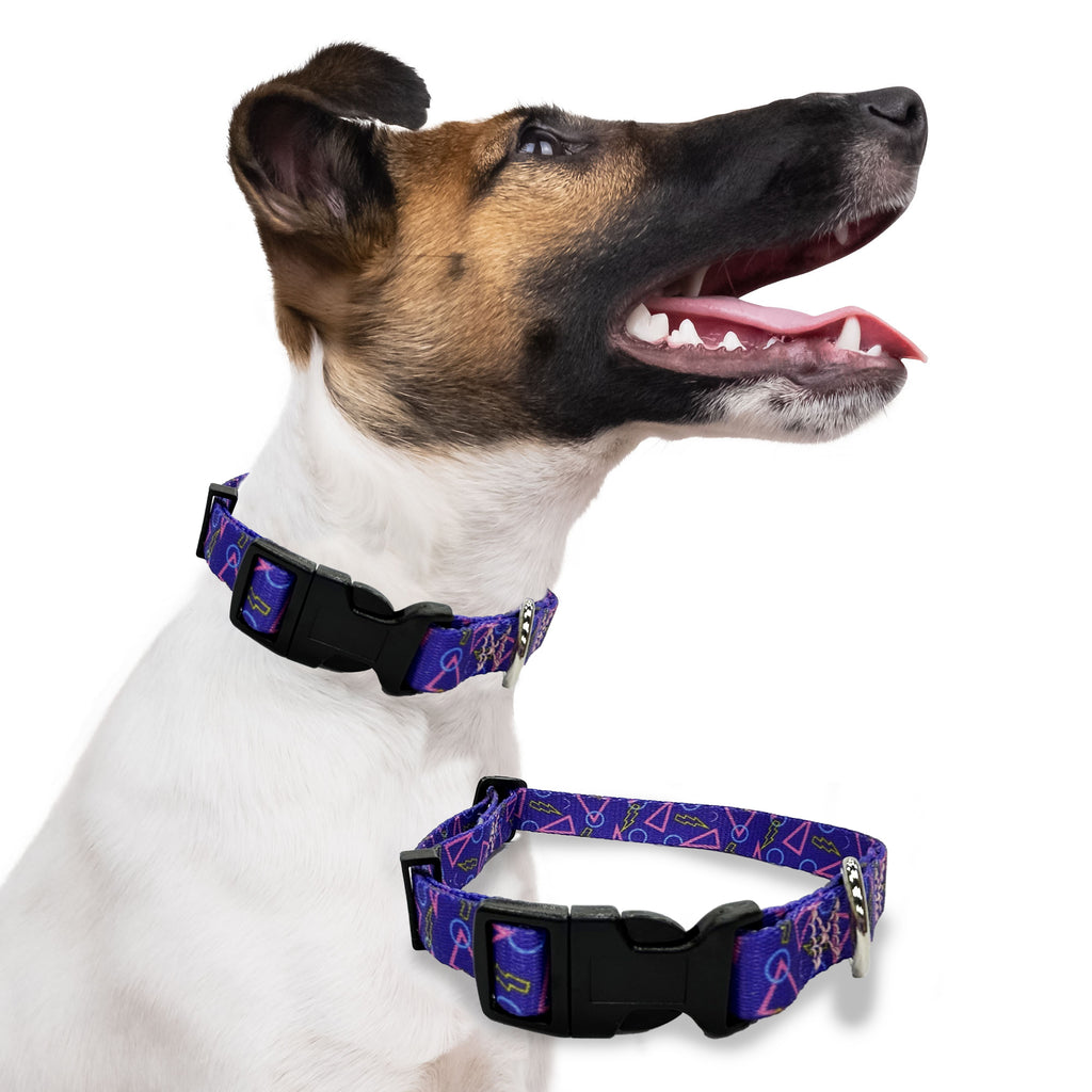 arcade, perri's pet products, dog collar, hippie collection, dog lifestyle