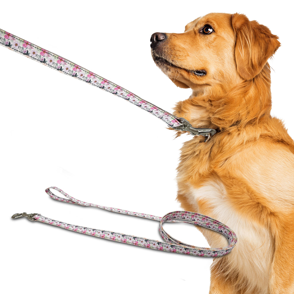 reflective lanvender orchid, perri's pet products, dog leash, dog lifestyle