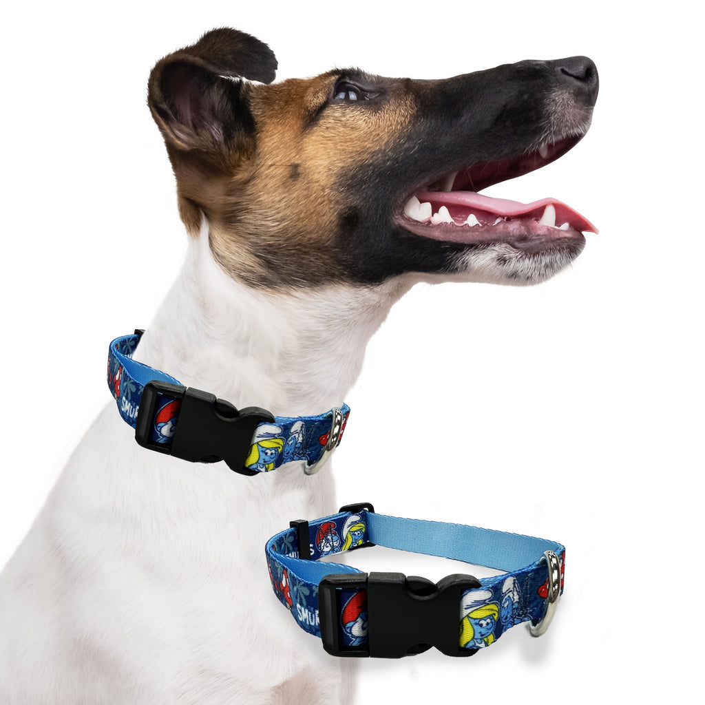 smurfs enchanted forest, perri's pet products, dog collar, dog lifestyle