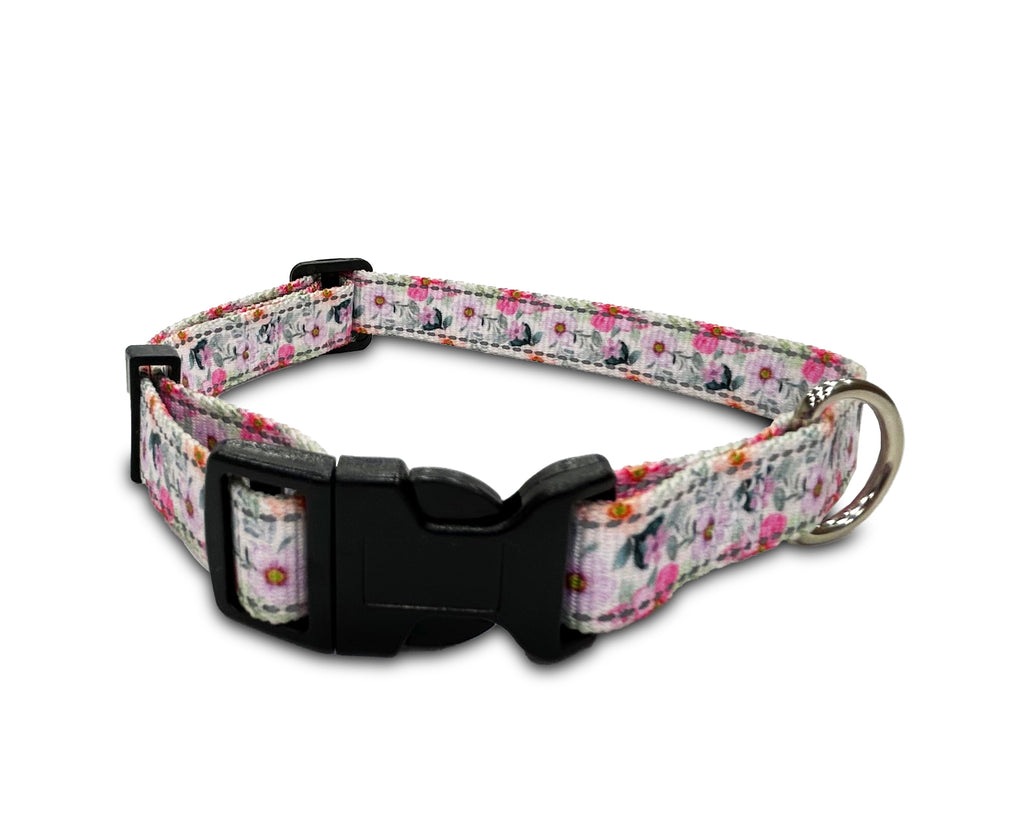 reflective lanvender orchid, perri's pet products, dog collar