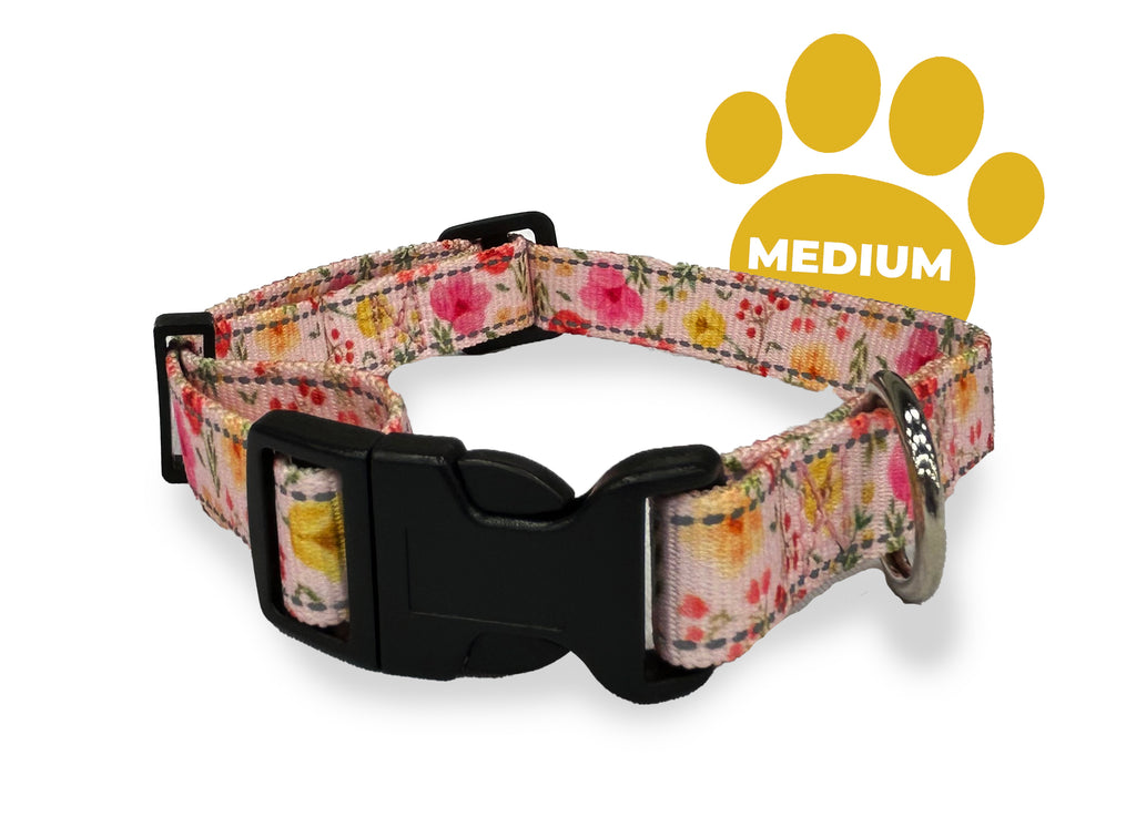 sunset tulips, perri's pet products, dog collar, medium, reflective