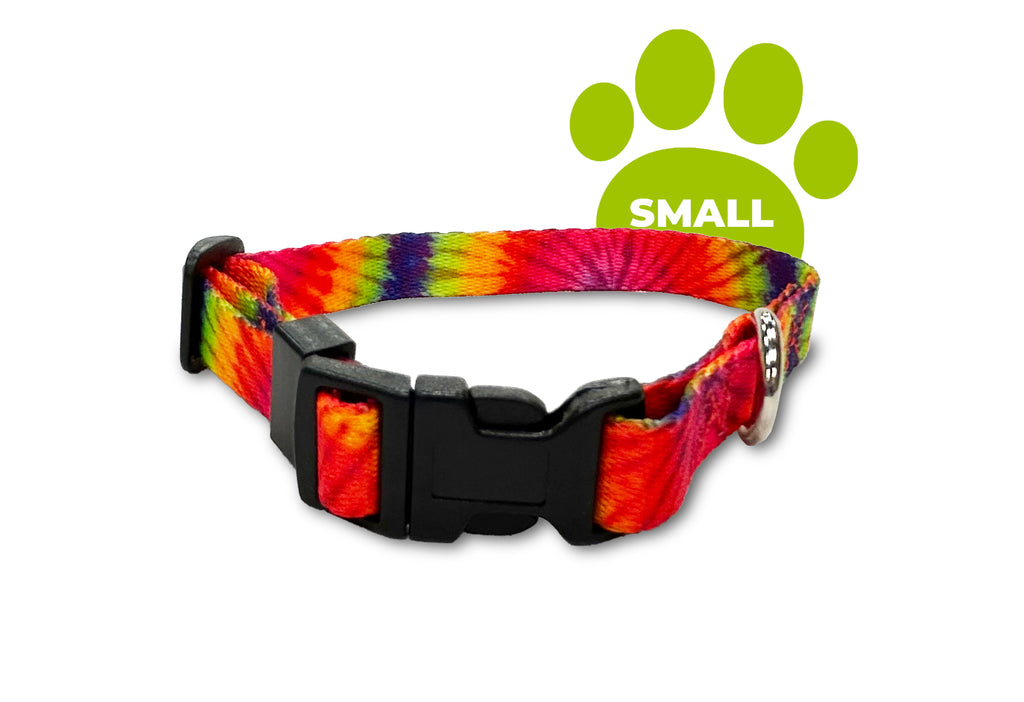 colour burst, perri's pet products, dog collar, hippie collection, small