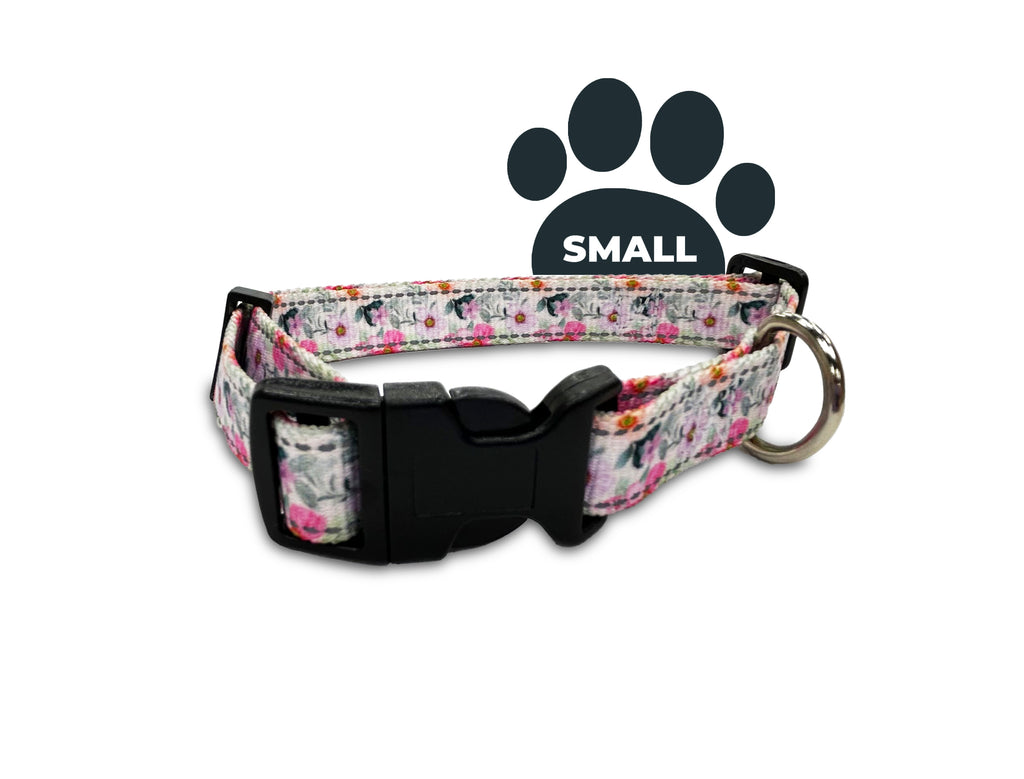 reflective lanvender orchid, perri's pet products, dog collar, small