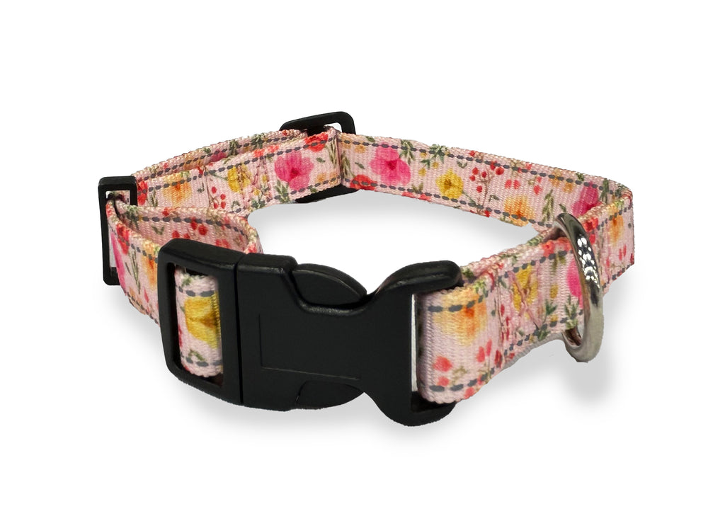 sunset tulips, perri's pet products, dog collar, reflective