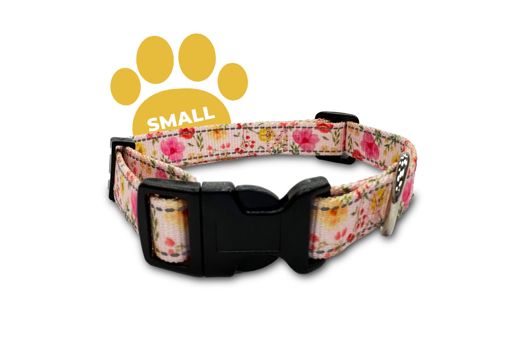 sunset tulips, perri's pet products, dog collar, small, reflective