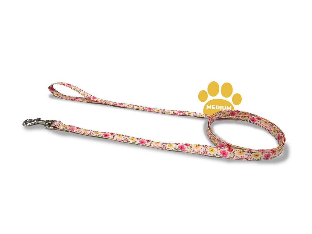 sunset tulips, perri's pet products, dog leash, reflective,  medium