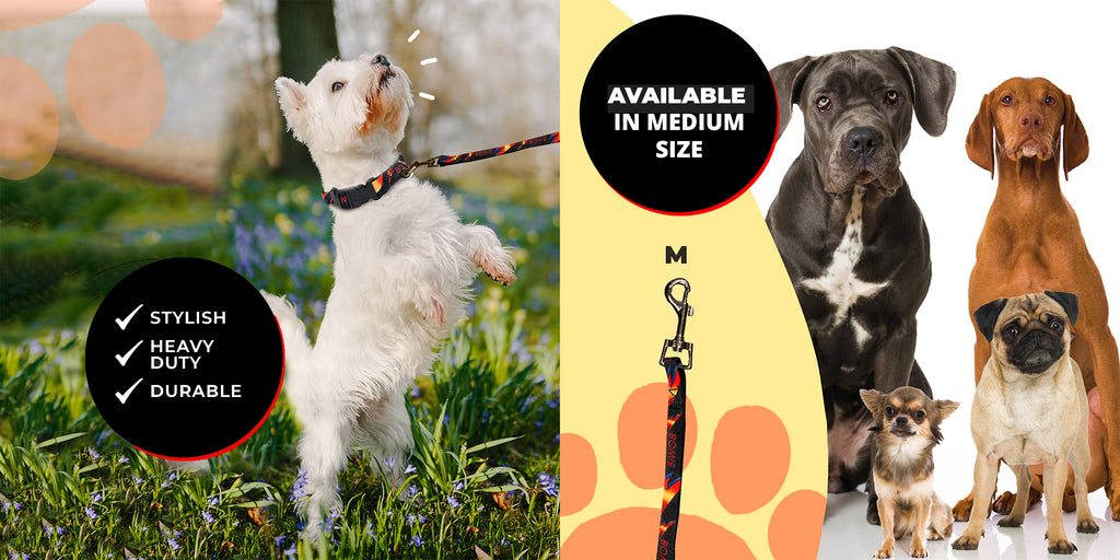 Perri's Pet Products, dog leashes, david bowie pet leash