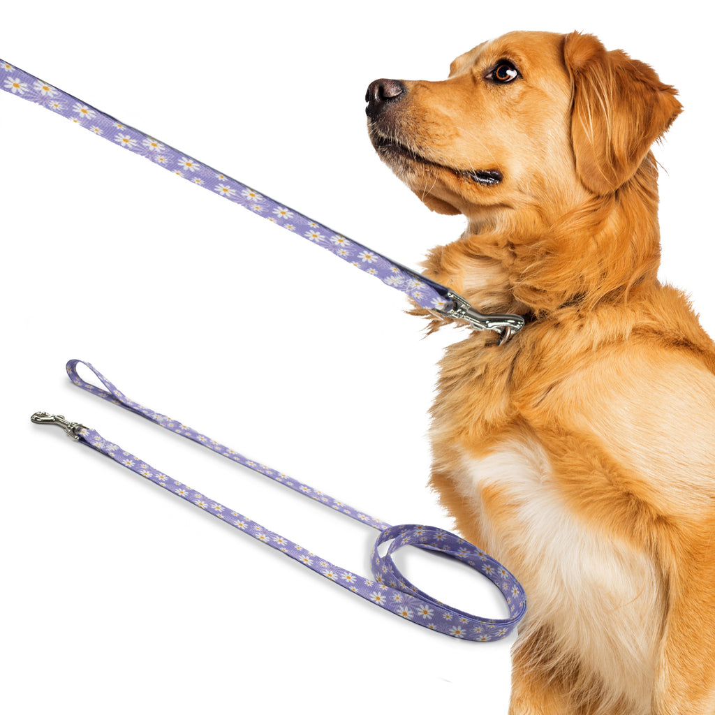 perri's pet products, dog leash, daisy purple