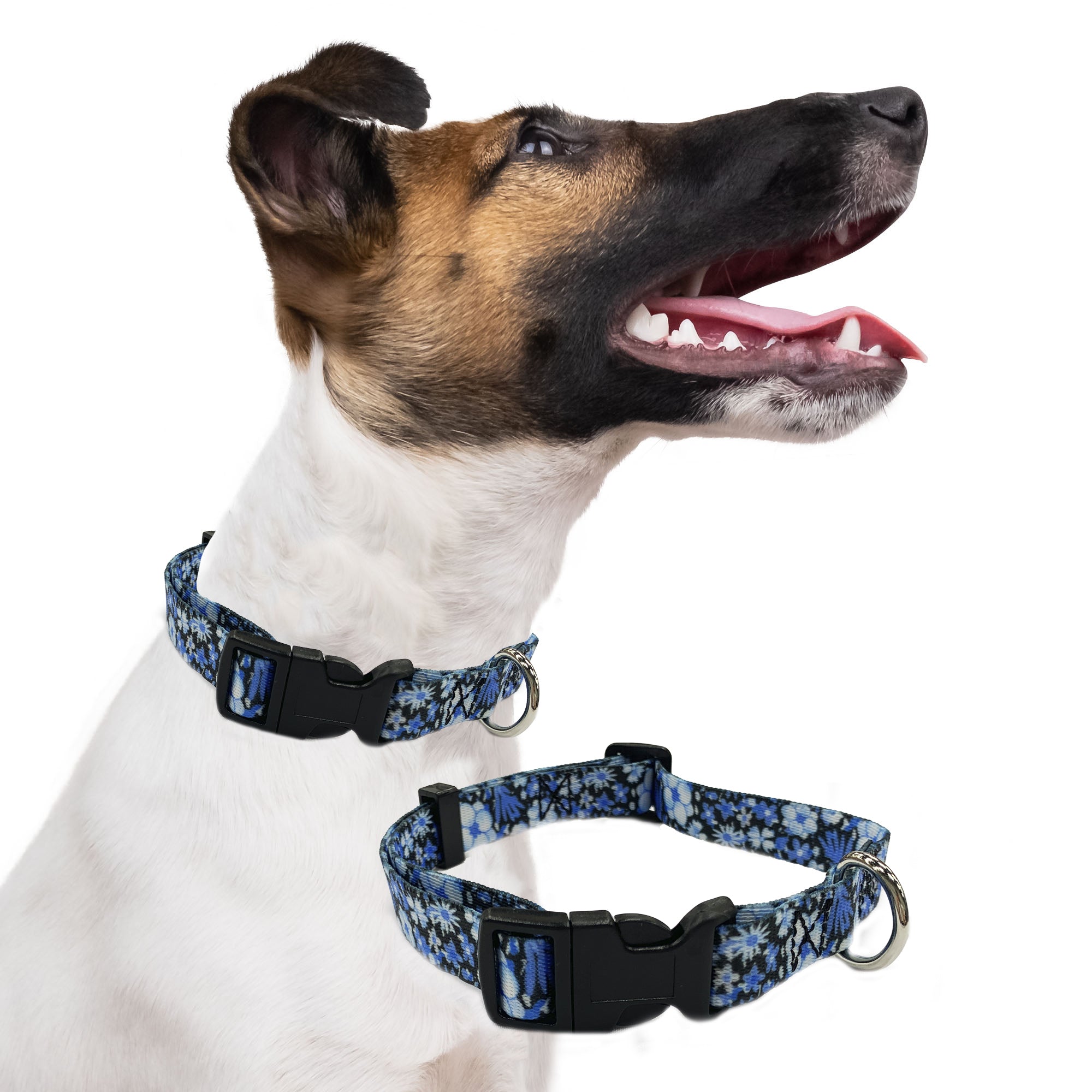 Elegant little tail Dog Collar, Blue Universe Pattern Pet Collar Durable  Cute Dog Collars Male Pet Gift Adjustable Dog Collar for X-Small Dogs