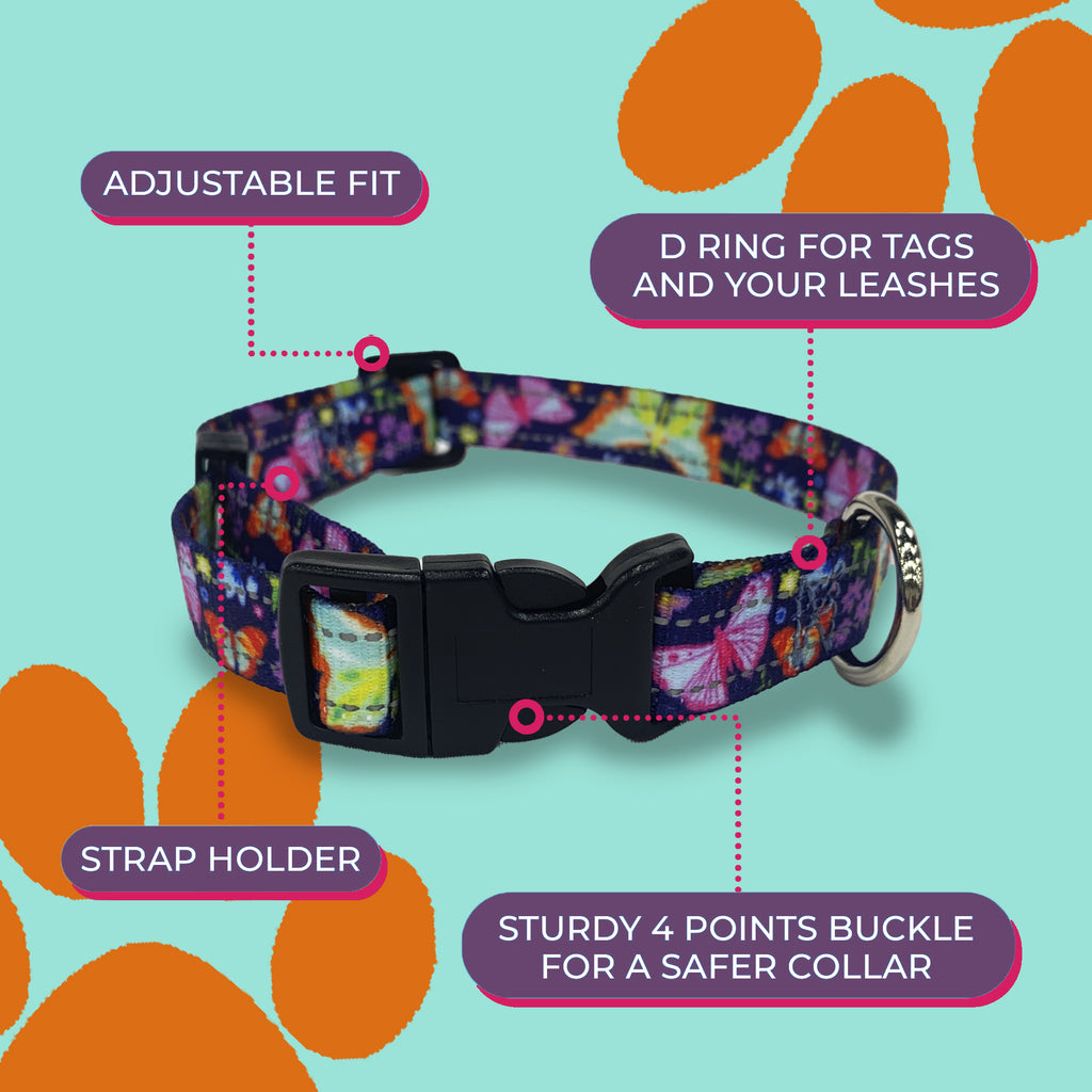Perri's Pet Products, dog collar, reflective neon butterflies