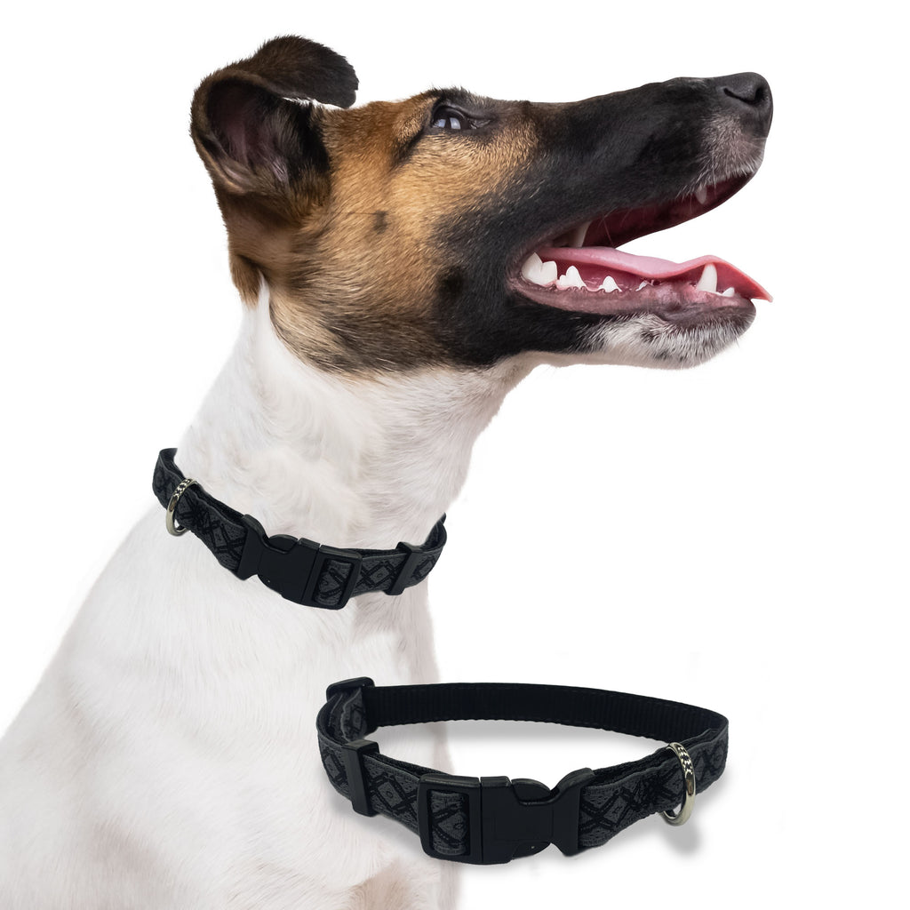 Perri's Pet Products, dog collar, regal black jacquard