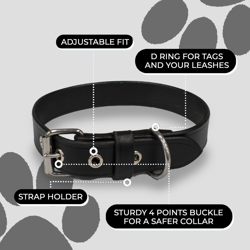 Perri's Pet Products, dog collars, black leather