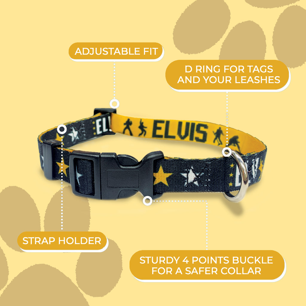 Perri's Pet Products, dog collar, black and gold, elvis presley