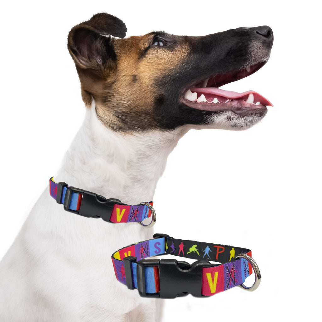 Perri's Pet Products, dog collar, Elvis Presley, colourful