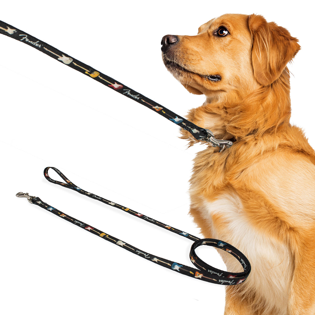 Perri's Pet Products, dog leash, fender guitars