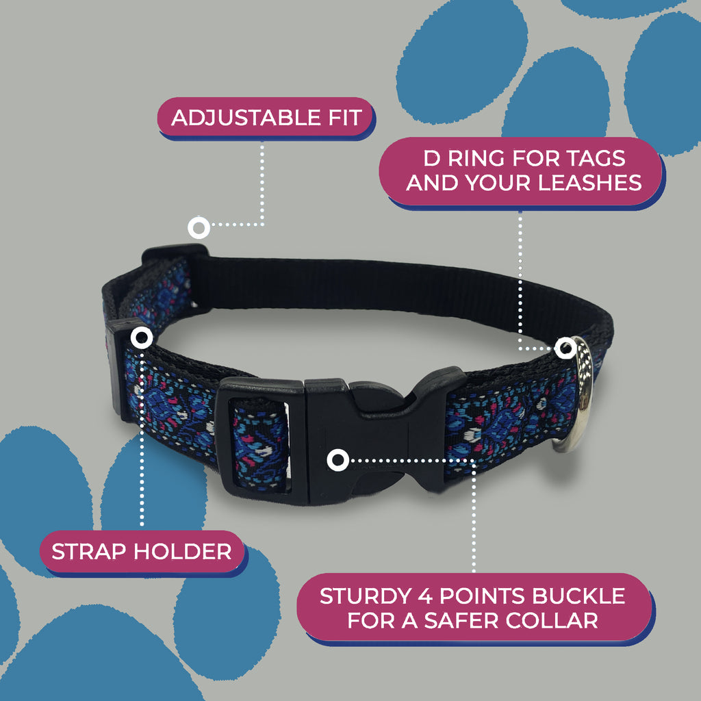 Perri's Pet Products, dog collars, blue orchid