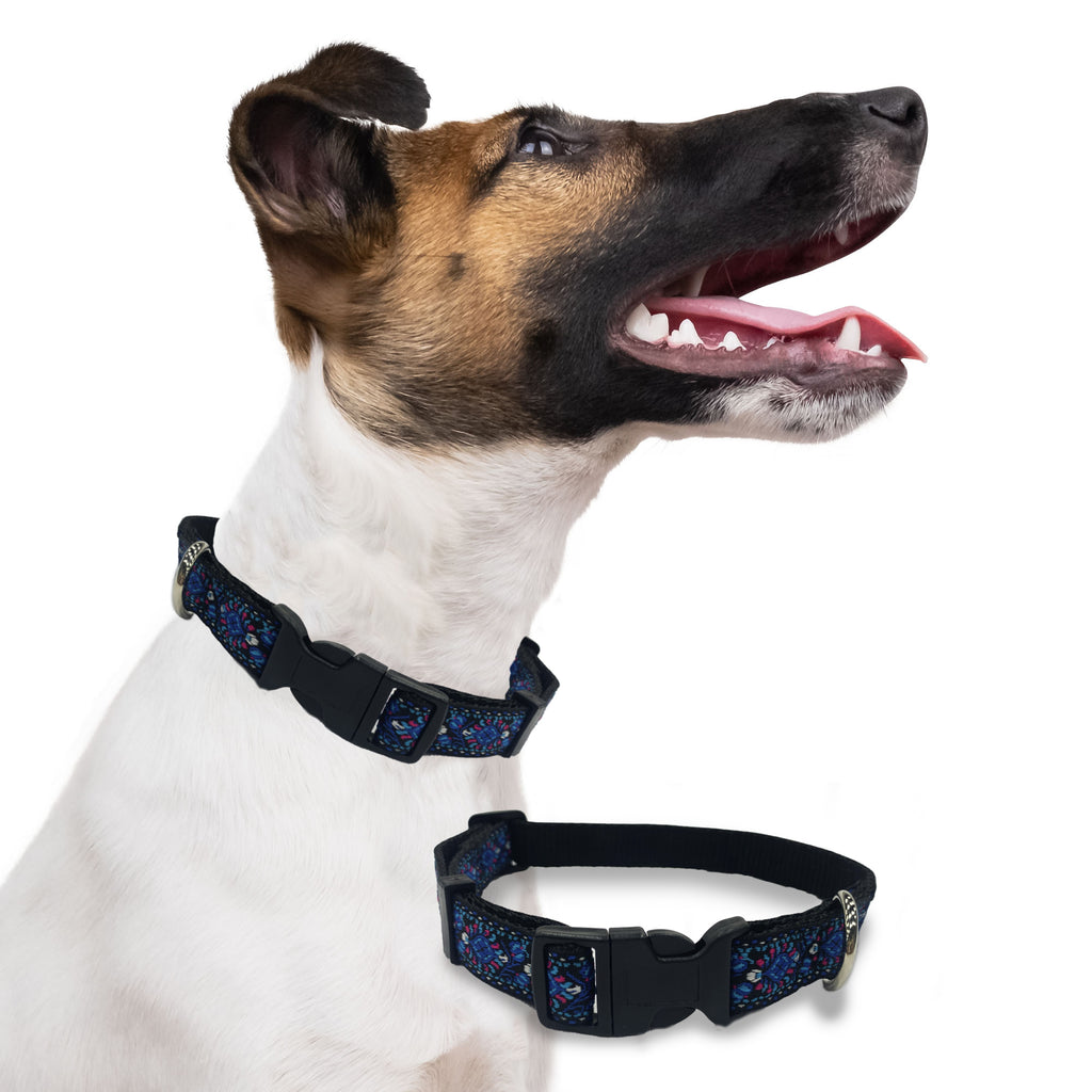 Perri's Pet Products, dog collars, blue orchid