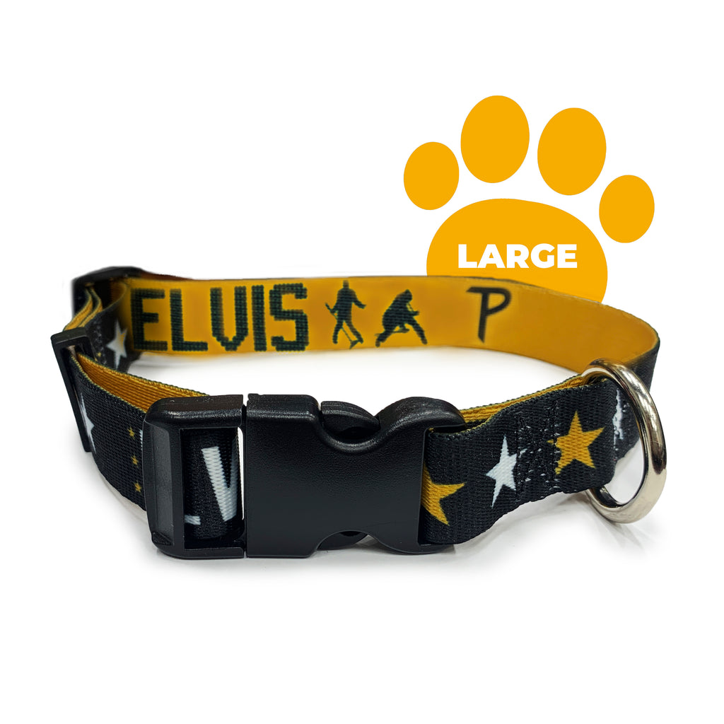 Perri's Pet Products, dog collar, black and gold, elvis presley