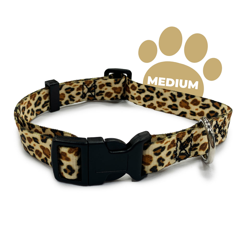 perri'd pet products, dog collars, cheetah print goldperri's pet products, dog collars, cheetah print gold