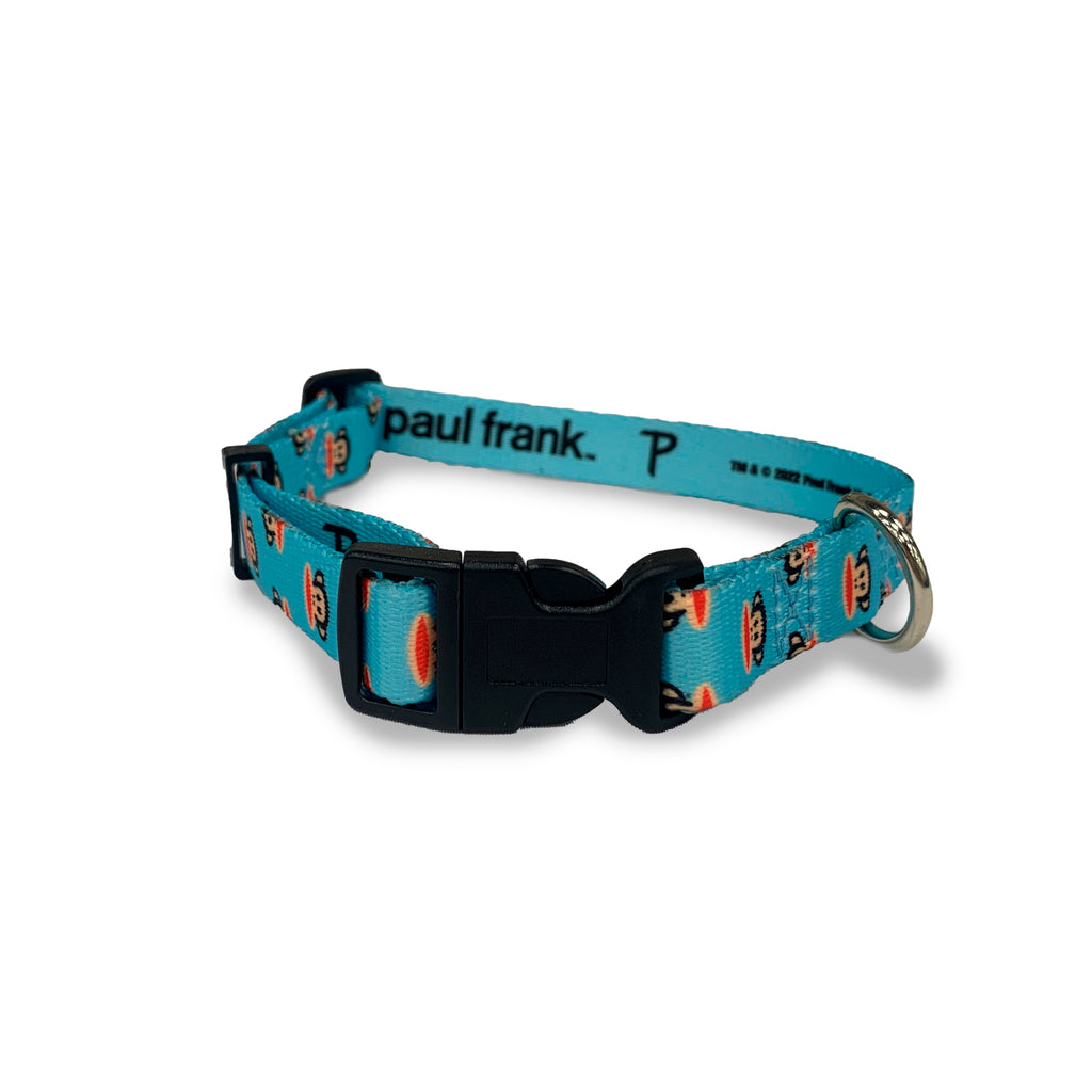 Perri's Pet Products, dog collar, paul frank julius