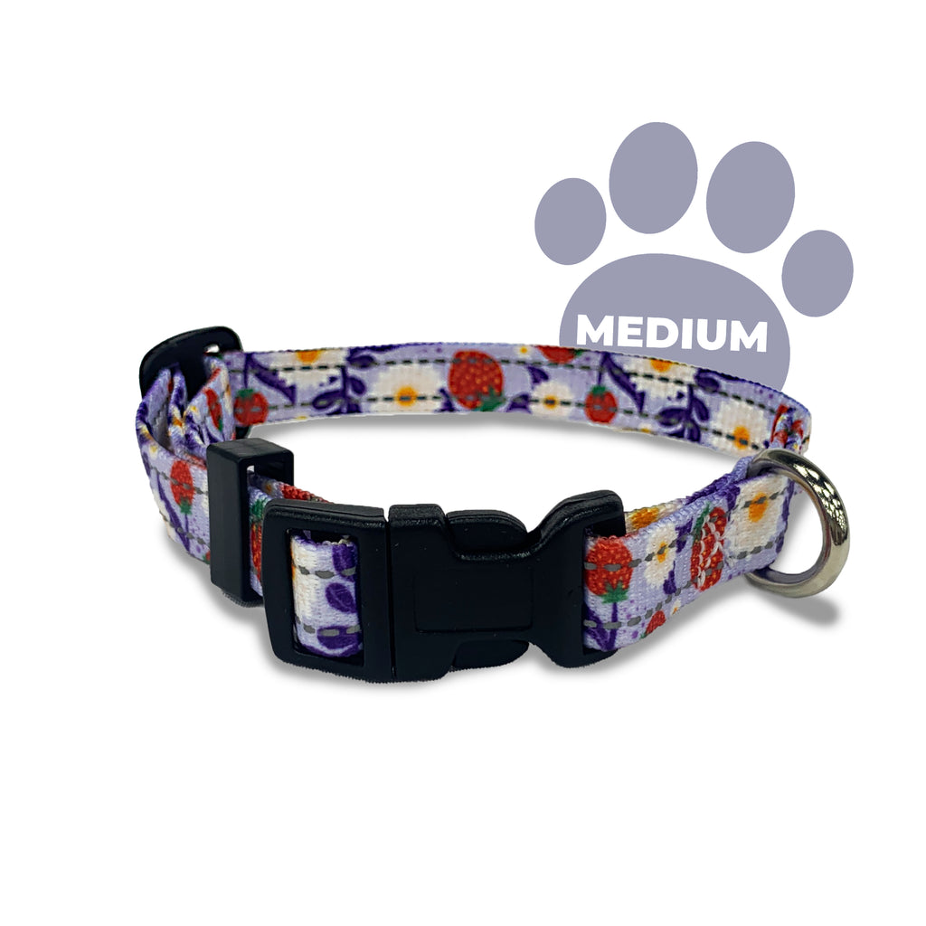Perri's Pet Products, dog collar, Reflective Lilac Strawberries