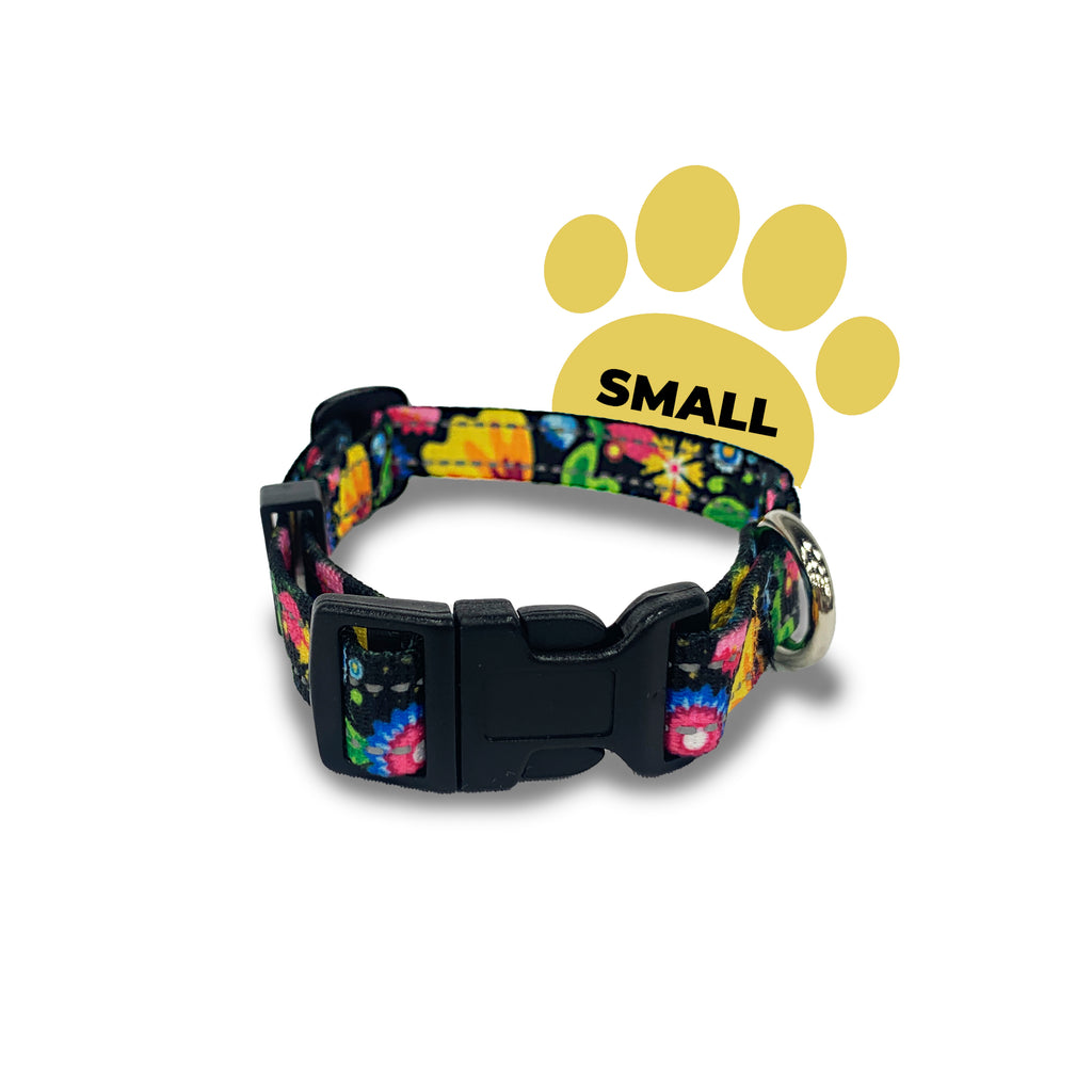 Perri's Pet Products, dog collar, reflective colourful flowers
