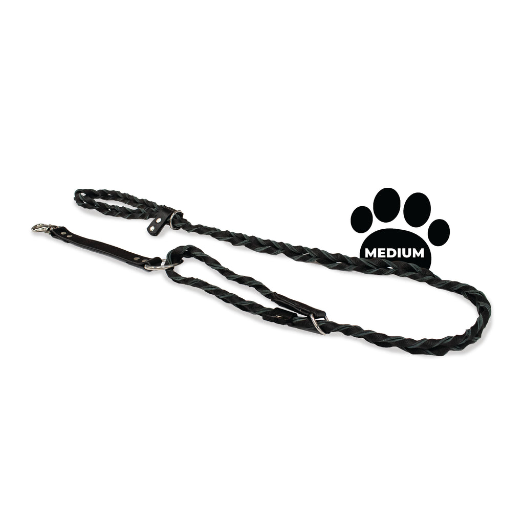 Perri's Pet Products, dog leash, braided black leather