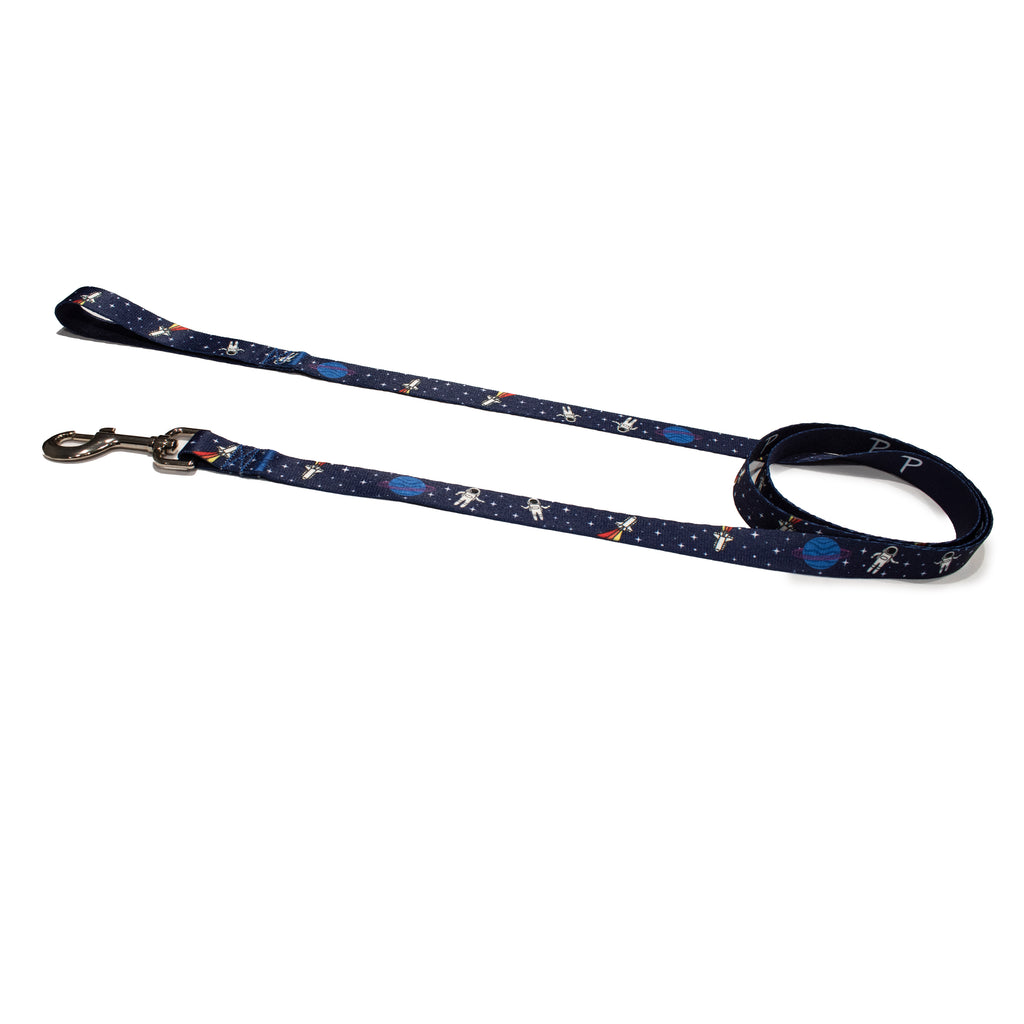 perri's pet products, dog leash, blue space