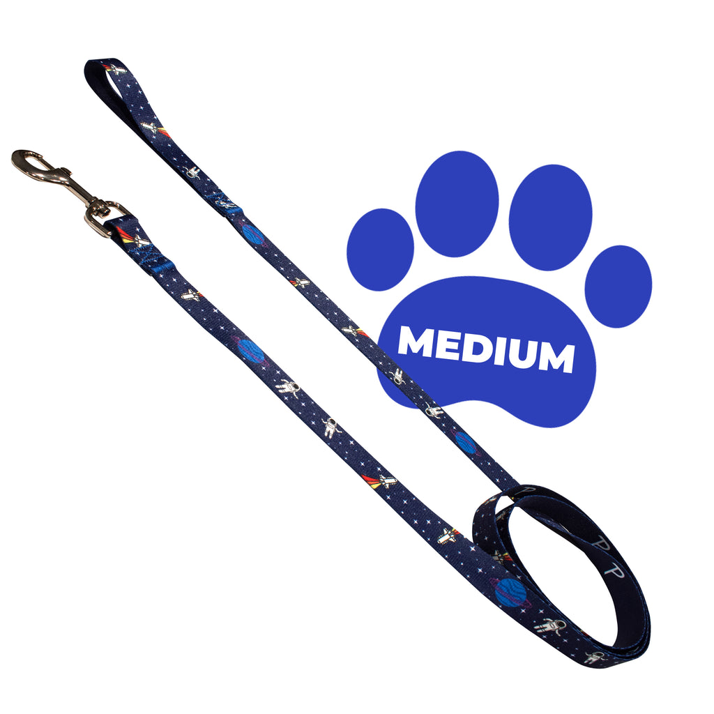 perri's pet products, dog leash, blue space, medium