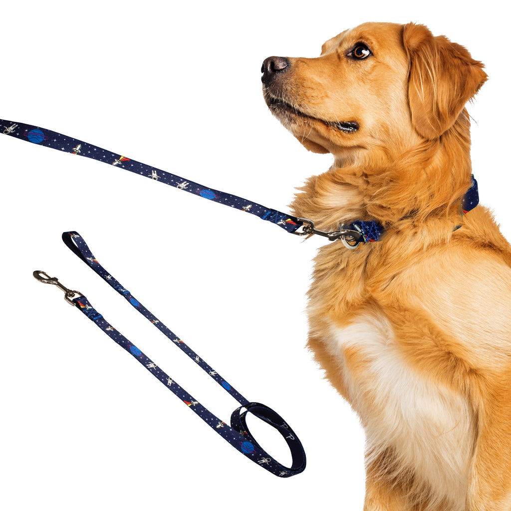 perri's pet products, dog leash, blue space