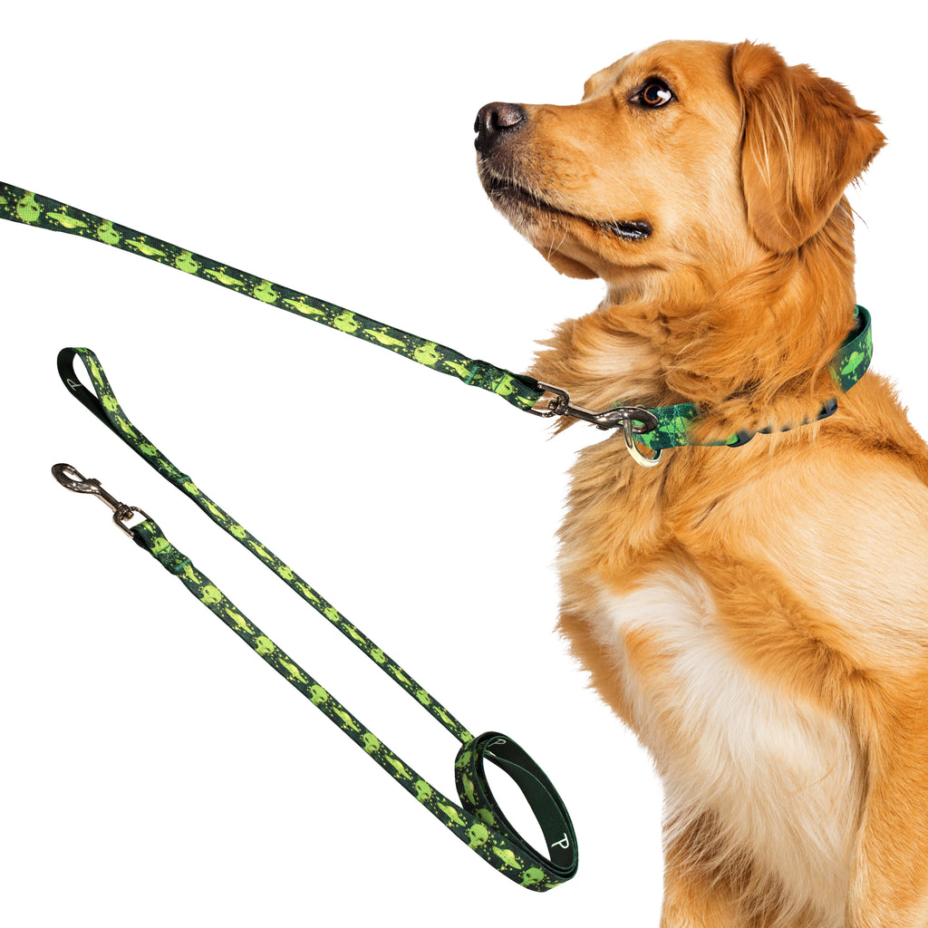 perri's pet products, dog leash, green aliens