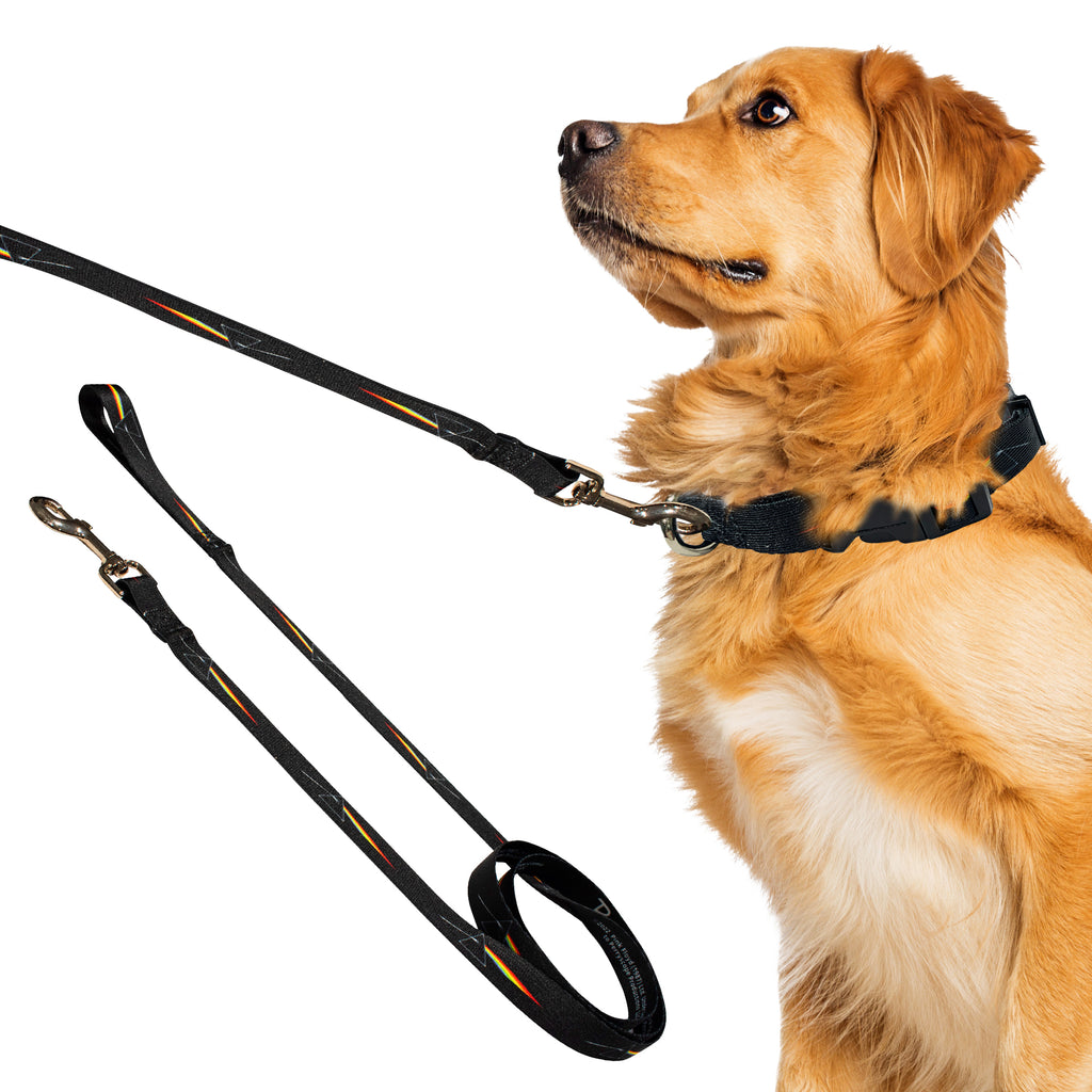 perri's pet products, dog leash, Pink Floyd prism