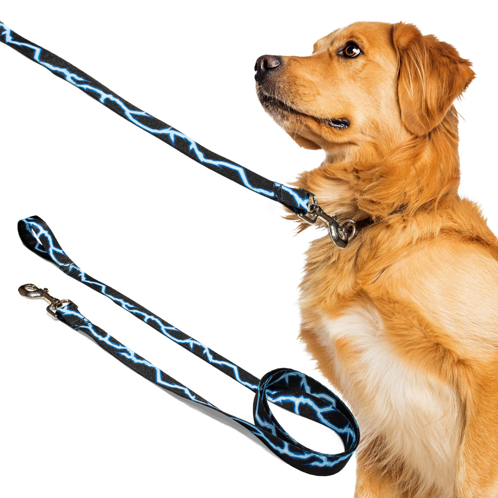perri's pet products, dog leash, blue lightning