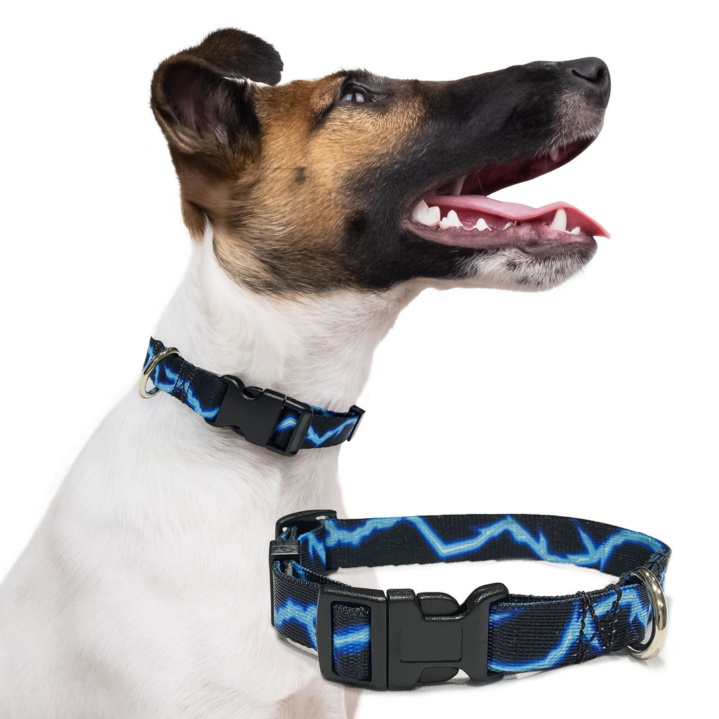 perri's pet products, dog collar, blue lightning