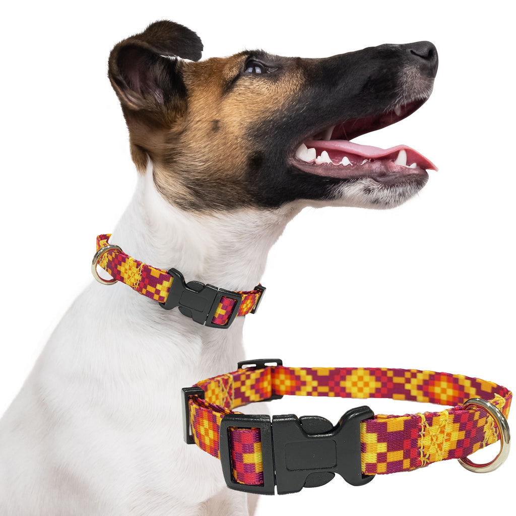 perri's pet products, dog collar, purple pixel