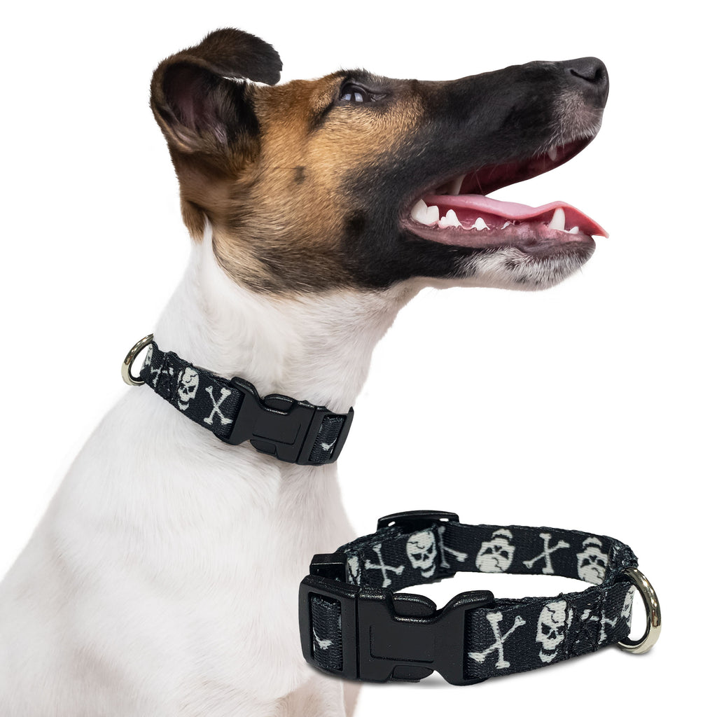 perri's pet products, dog collar, black and white skulls