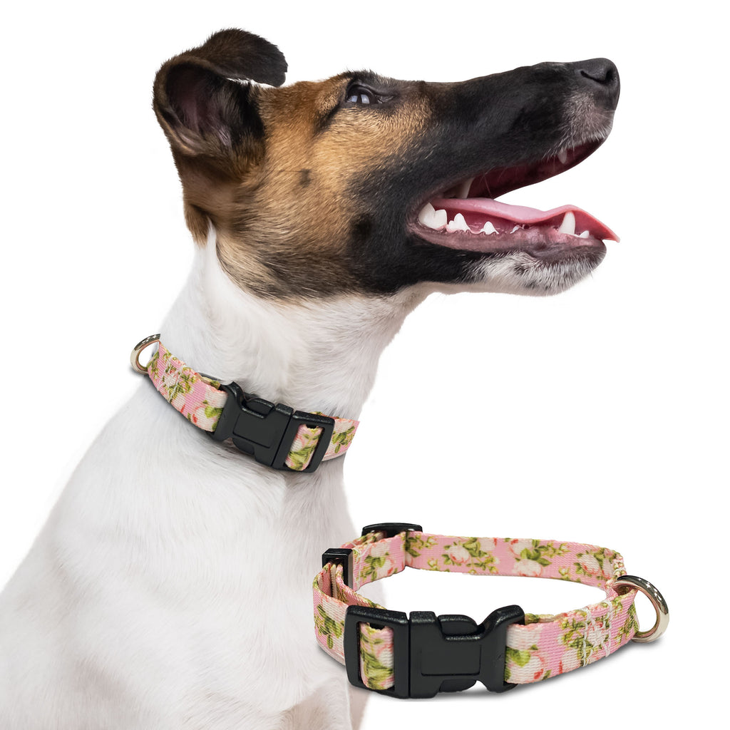 perri's pet products, dog collar, pink rose