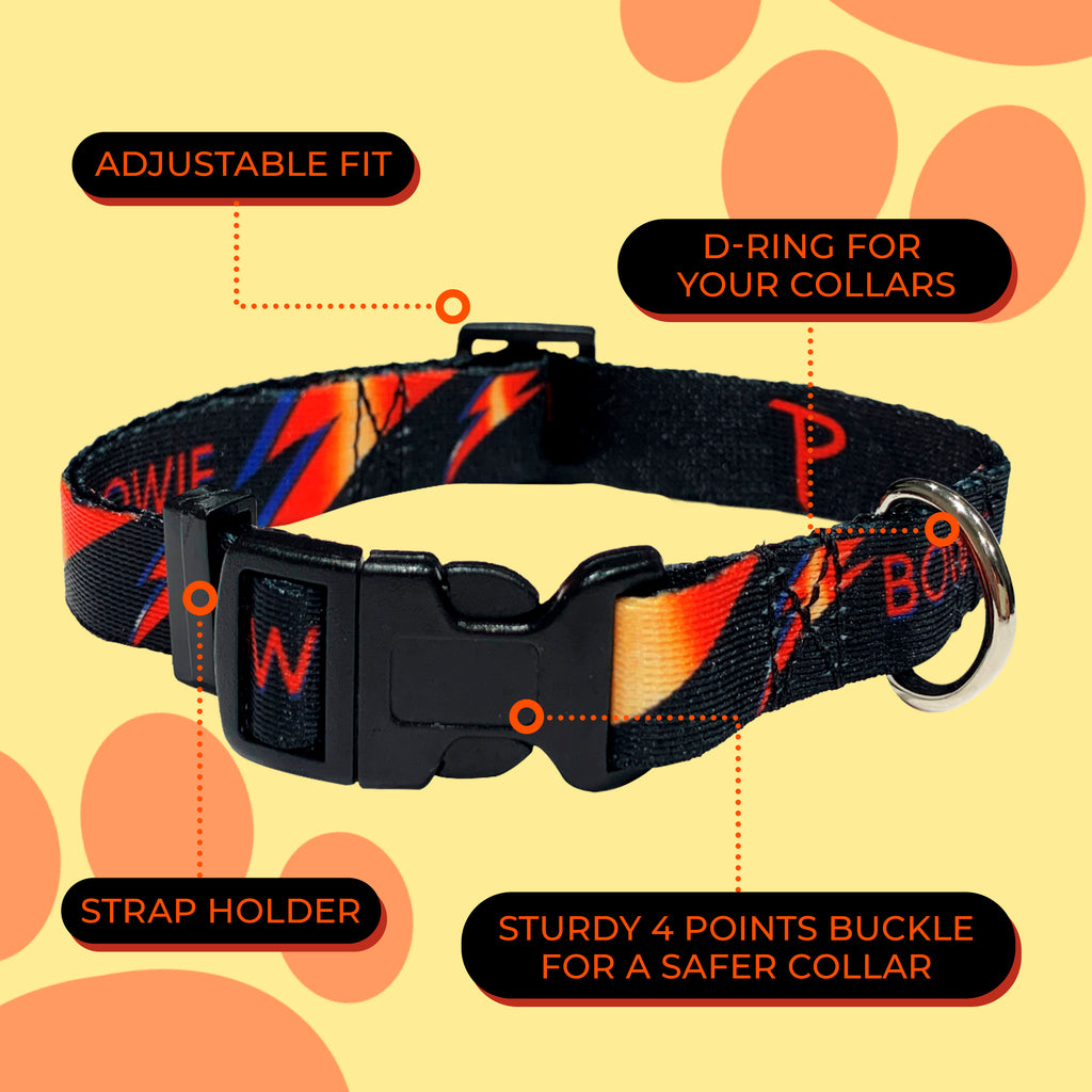 perri's pet products, dog collar, Bowie lightning bolt