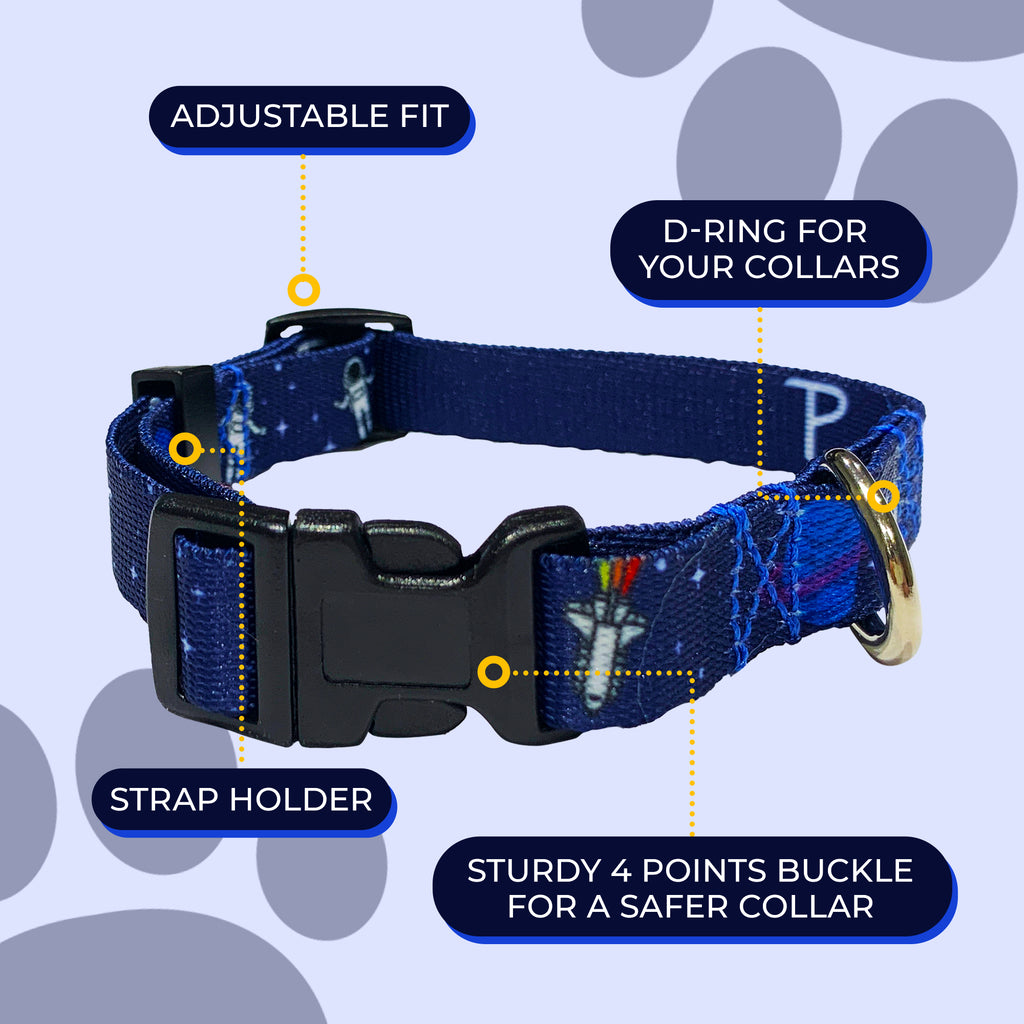 perri's pet products, dog collar, space