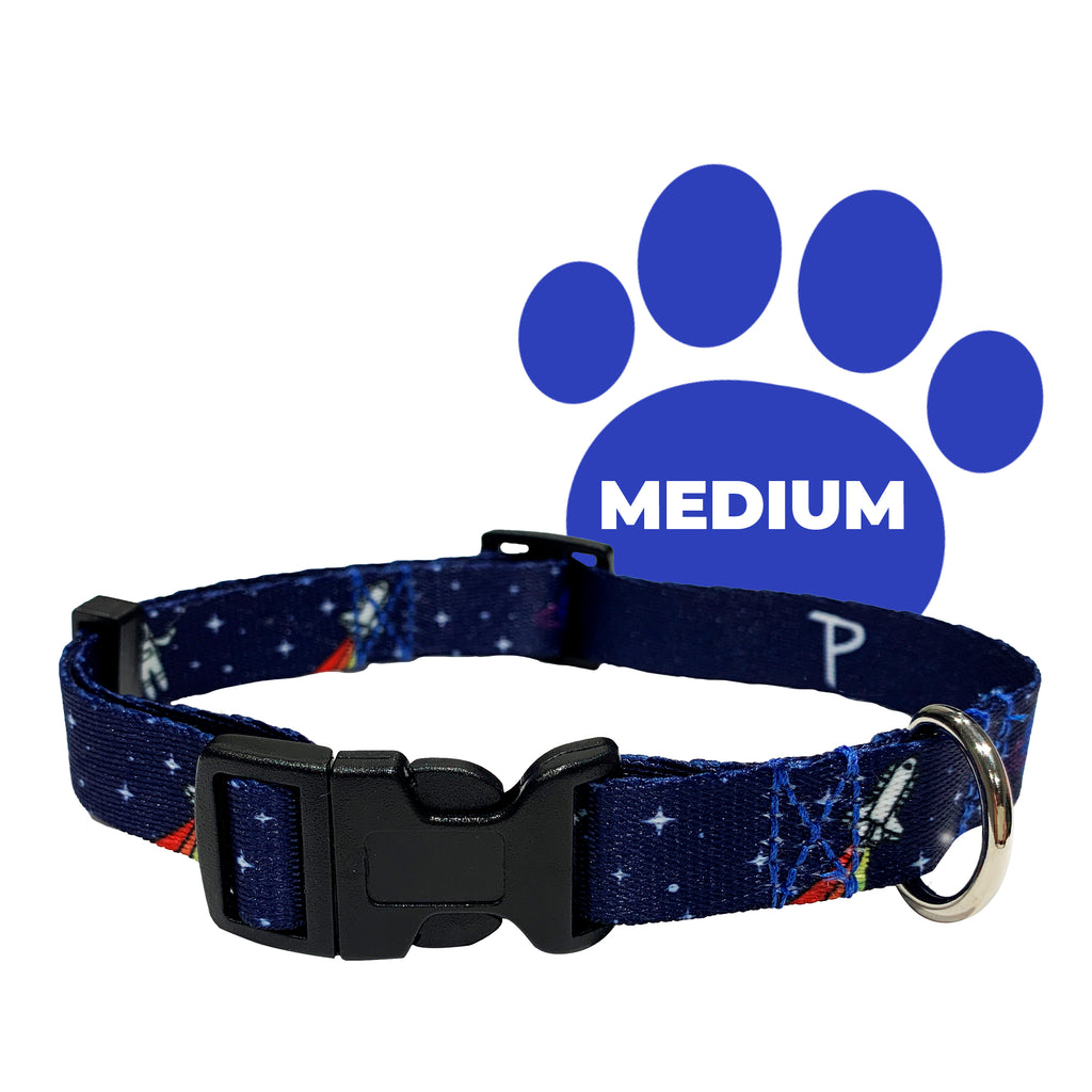 perri's pet products, dog collar, space